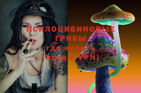 mdpv Горняк