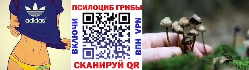Купить закладки  Кириши  Галлюциногенные грибы прущие грибы 